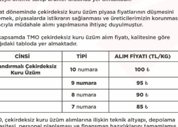 TMO'nun çekirdeksiz kuru üzüm alım fiyatı belirlendi