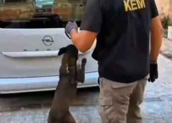 Balıkesir’de 109 bin adet sentetik ecza hapı ele geçirildi