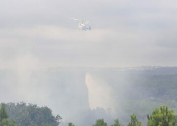 Arnavutköy'de ormanda yangın -1