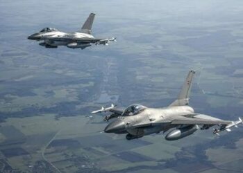 Litvanya'da NATO uçaklarını havalandıran İHA alarmının nedeni kuş sürüsü çıktı