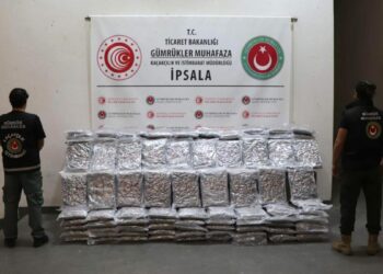 Edirne'de gümrük kapılarında 147 kilo esrar ve 27 kilo kokain ele geçirildi