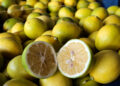 Dalında 5 TL olan limon, markette 20 katına satılıyor