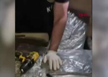 İpsala ve Hamzabeyli gümrük kapılarında 147 kilo skunk ve 27 kilo kokain ele geçirildi