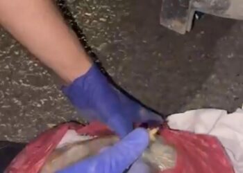 Iğdır'da uyuşturucu operasyonu: 2 tutuklama
