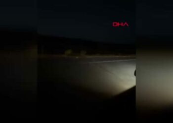 Avrupa turuna çıkan Fransız kadın, motosikletiyle koyunlara çarpıp yaralandı