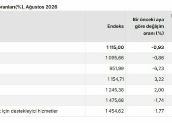 TÜİK: Tarım ürünleri üretici fiyatları aylık yüzde 0,93 azaldı
