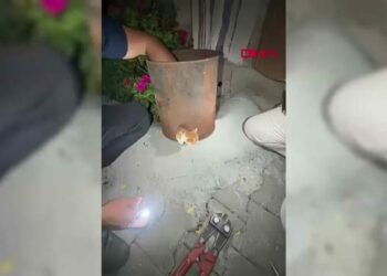 Soba kovasına sıkışan kediyi itfaiye kurtardı