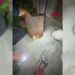 Soba kovasına sıkışan kediyi itfaiye kurtardı