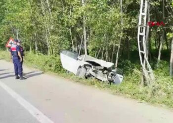 Otomobil, elektrik direğine çarptı; sürücü yaralandı, eşi öldü