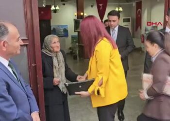 Bob Ross’tan ilham alıp resme başlamıştı; 81 yaşında ikinci sergisini açtı