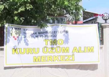 Üzüm alımına başlanan TMO önünde traktör kuyruğu