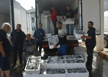 İzmir'de balık fiyatları düştü; palamut halde 60, tezgahta 100 TL
