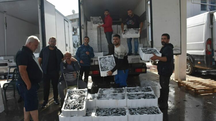 İzmir'de balık fiyatları düştü; palamut halde 60, tezgahta 100 TL