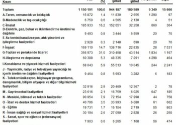 TÜİK: En fazla firma toptan ve perakende ticaret sektöründe yer aldı