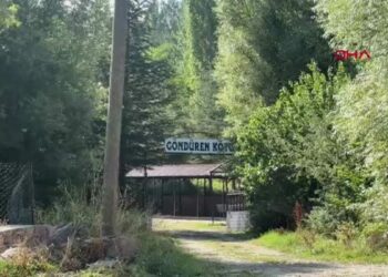 Büşra bebek olayında yeni gelişme; kardeşlerinin 'çadırdan alıp götürdü' dediği kişi gözaltında