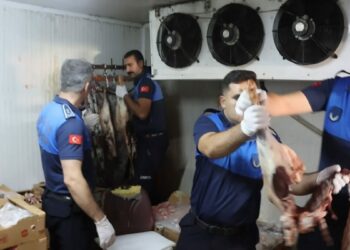 Kasapta 315 kilo bozuk et ele geçirildi