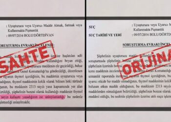 ‘Neyin kafasını yaşadığı anlaşılamadı’ ifadeli savcılık kararı iddiasına soruşturma