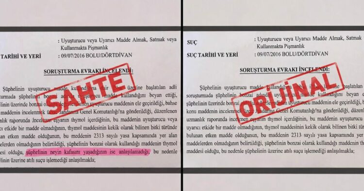 ‘Neyin kafasını yaşadığı anlaşılamadı’ ifadeli savcılık kararı iddiasına soruşturma