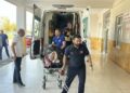 Ayı saldırısına uğrayan çoban yaralandı
