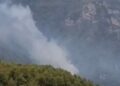 Hatay'da orman yangını