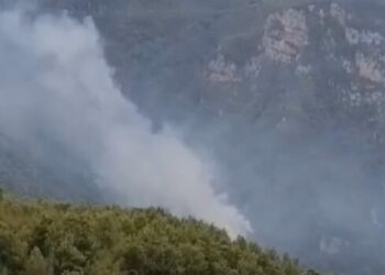 Hatay'da orman yangını