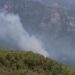 Hatay'da orman yangını