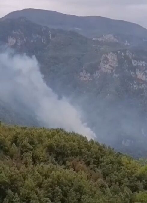 Hatay'da orman yangını
