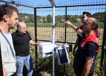 Kocaeli'de tarımda yapay zeka dönemi