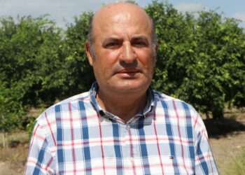 Tedarik zincirinde fahiş fiyatlara çözüm için 'üretici birlikleri' önerisi