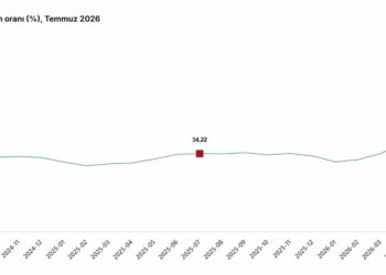 TÜİK: Tarımsal girdi fiyatları temmuzda arttı