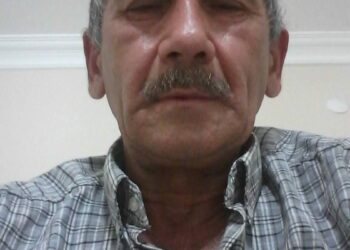 Kesilen ağacın dalının çarptığı orman işçisi öldü