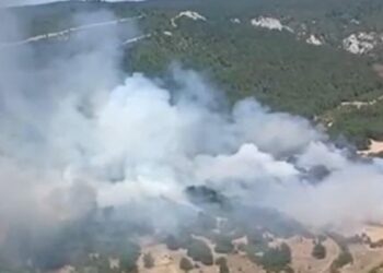 Balıkesir'de orman yangını