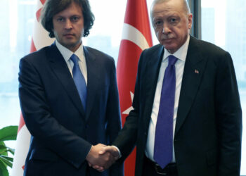 Cumhurbaşkanı Erdoğan, Gürcistan Başbakanı Kobakhidze ile görüştü