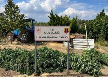 Kilis'te 40,5 kilogram esrar ele geçirildi; 1 gözaltı