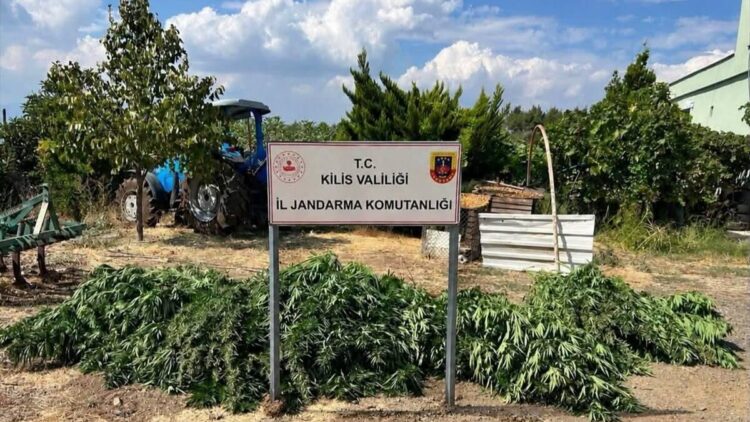 Kilis'te 40,5 kilogram esrar ele geçirildi; 1 gözaltı