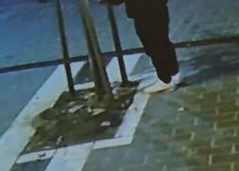 Fatih’te kuyumcunun önündeki ağacın kesildiği anlar kamerada
