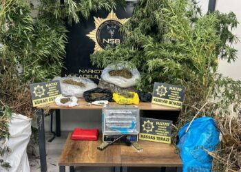 Hatay'da 122 kök Hint keneviri ve 14 kilo 752 gram kubar esrar ele geçirildi; 1 şüpheli tutuklandı