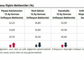 Sektörel enflasyon beklentileri açıklandı