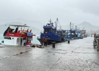 Bartın'da kuvvetli rüzgar; ağaçlar devrildi