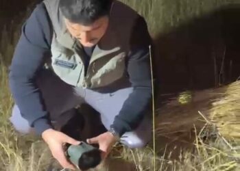 Doğa Koruma'dan kullanımı yasak ses cihazlarına karşı mücadele