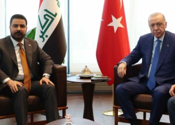 Cumhurbaşkanı Erdoğan, Irak Başbakanı Zeydi'yi kabul etti