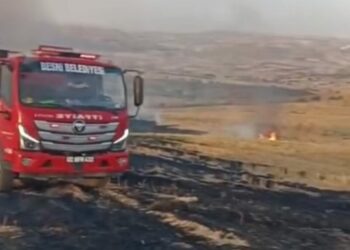 Adıyaman'da anız yangını söndürüldü