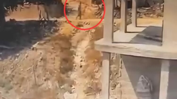 İnşaatta yatan köpeğe sopayla şiddet uyguladı; o anlar kamerada