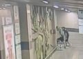 Beyoğlu’nda metroda uyuyan kişinin cep telefonunu çalan şüpheli yakalandı