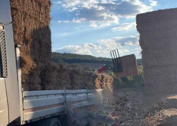 Üzerine saman balyası düştü, öldü