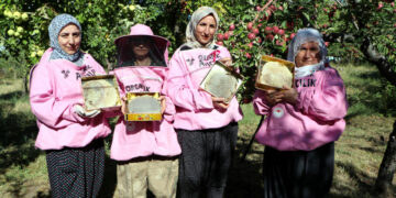 'Pembe maskeli’ kadın arıcılar hasada başladı