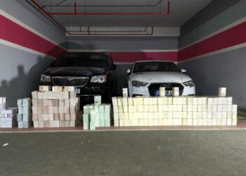 'Vanlı Kara Haydar'ın araçlarında 934 milyon TL'lik döviz bulundu: 1 gözaltı