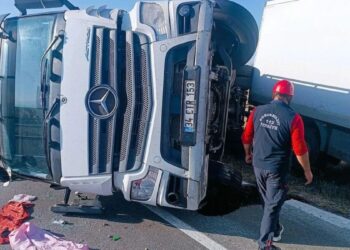Yola çıkan eşek kazaya neden oldu: 2 yaralı