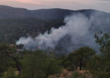 Gaziantep’te orman yangını; 4 dönüm alan zarar gördü