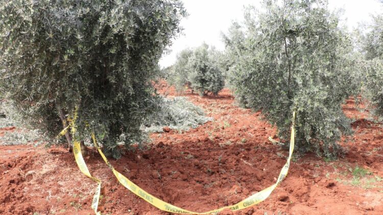 Traktörden düşen çiftçi öldü